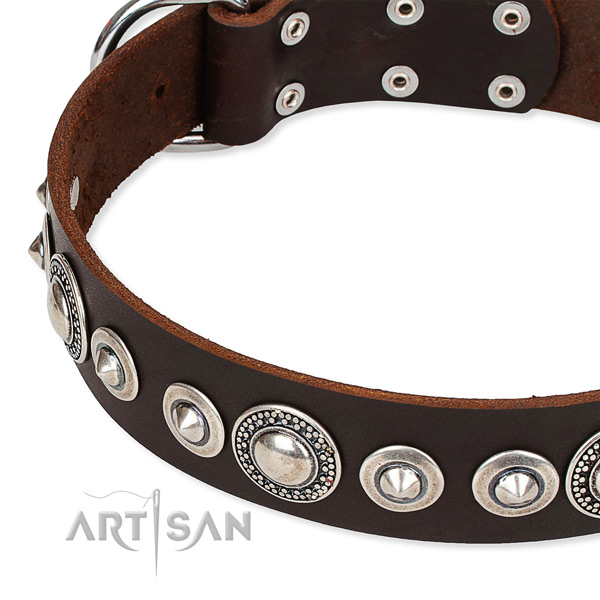 Walking adorned dog collar of top notch full grain genuine leather