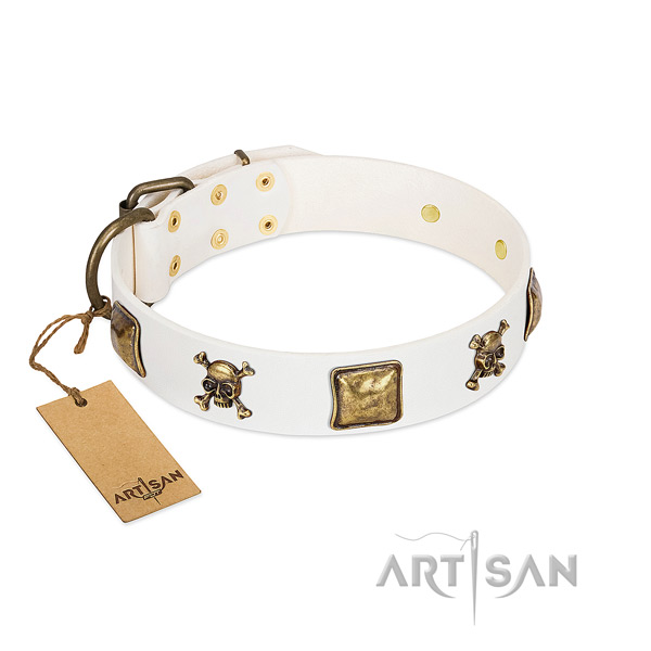 Stunning full grain leather dog collar with corrosion resistant adornments