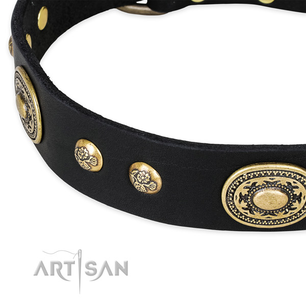 Amazing full grain leather collar for your beautiful canine