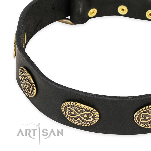 Designer full grain leather collar for your beautiful pet