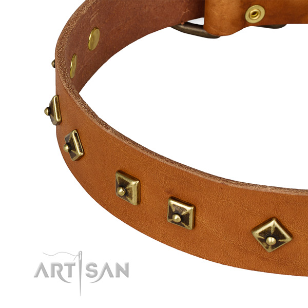 Adorned genuine leather collar for your handsome dog