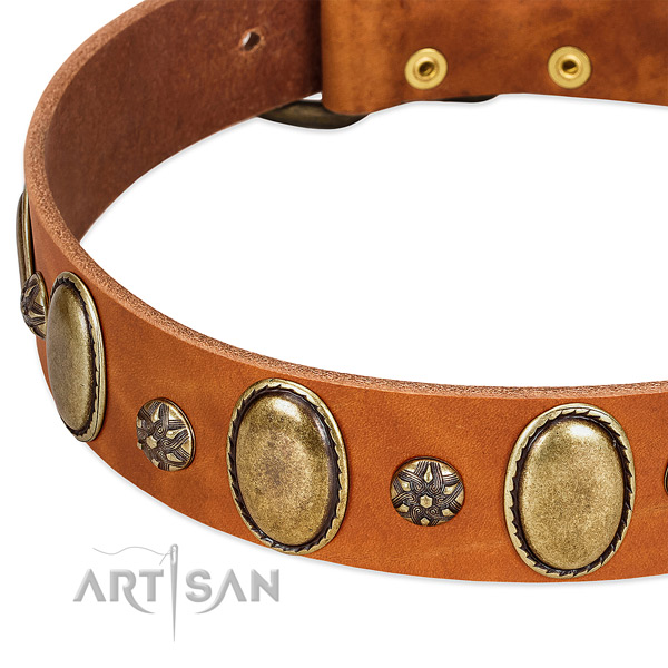 Fancy walking quality genuine leather dog collar