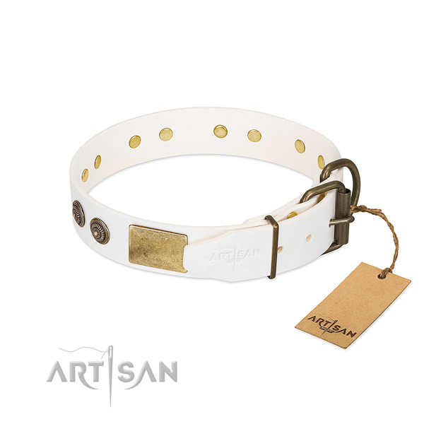 Reliable traditional buckle on full grain natural leather collar for fancy walking your canine