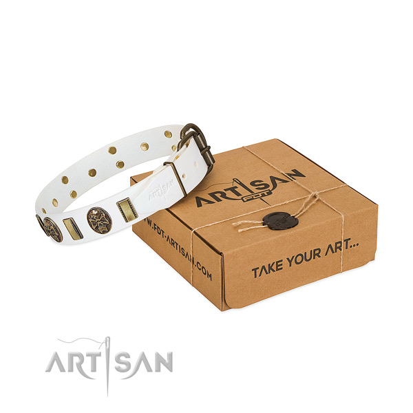 Corrosion resistant hardware on full grain leather dog collar for daily walking