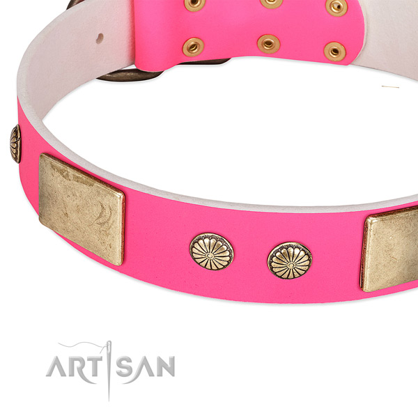 Strong traditional buckle on natural leather dog collar for your canine