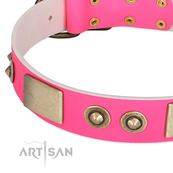Corrosion proof D-ring on full grain leather dog collar for your pet