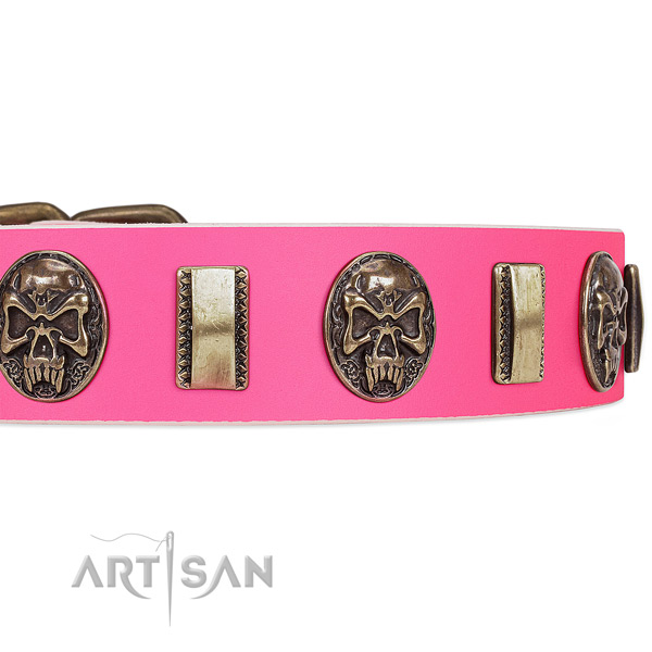 Strong embellishments on leather dog collar for your canine