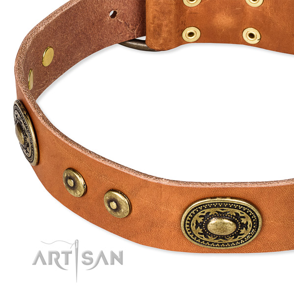 Leather dog collar made of best quality material with adornments