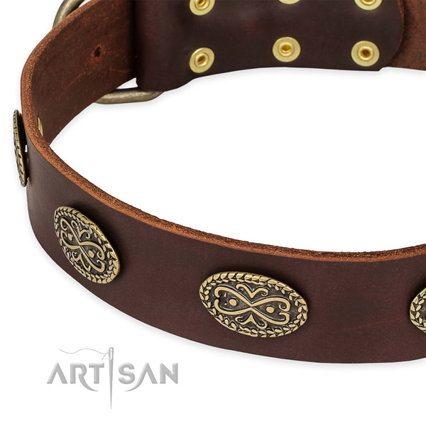 Amazing natural genuine leather collar for your stylish doggie