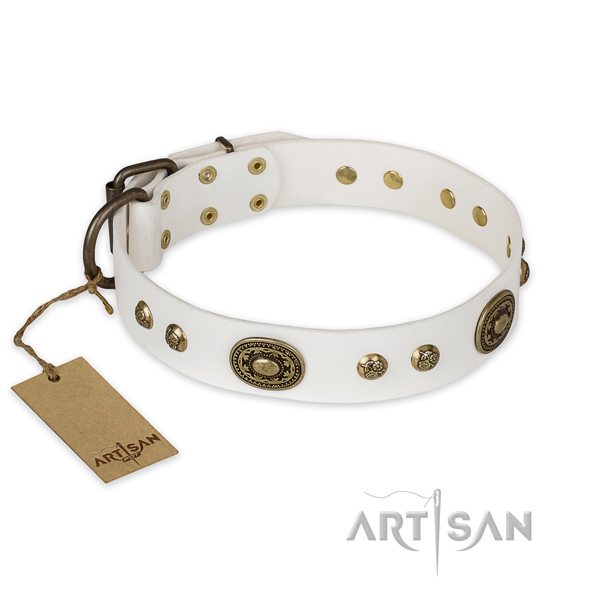 Handmade genuine leather dog collar for everyday walking