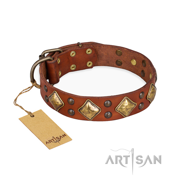 Walking adjustable dog collar with rust-proof D-ring