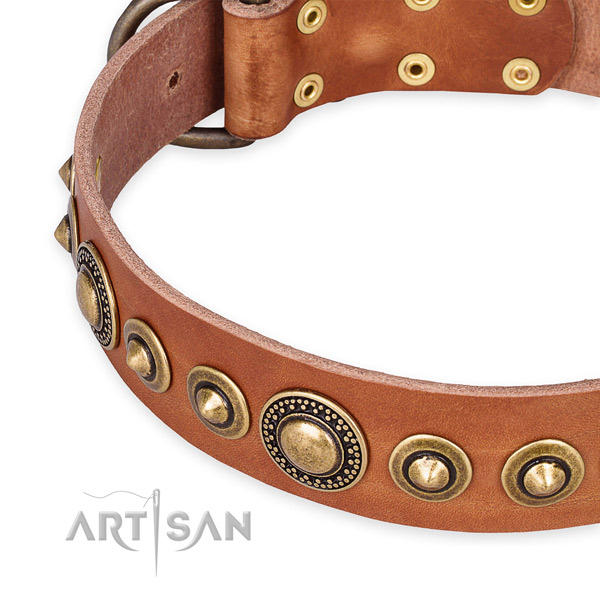 Reliable genuine leather dog collar crafted for your handsome dog