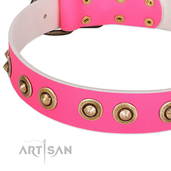 Reliable adornments on genuine leather dog collar for your canine