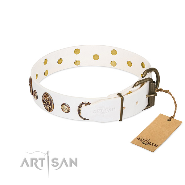 Rust resistant D-ring on full grain natural leather collar for stylish walking your pet