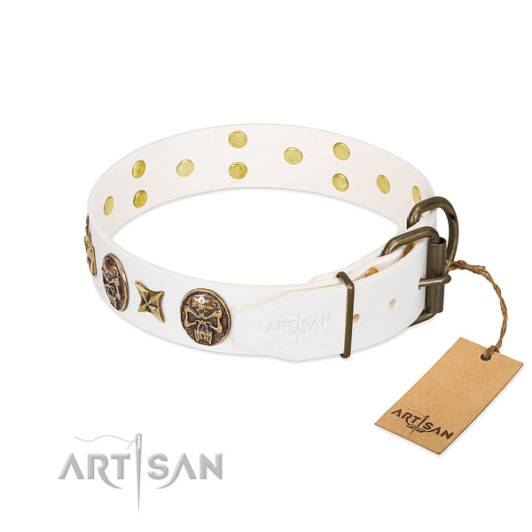 Reliable traditional buckle on genuine leather collar for fancy walking your four-legged friend