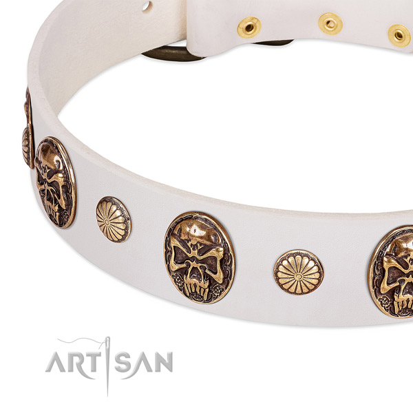 Corrosion resistant embellishments on full grain genuine leather dog collar for your pet