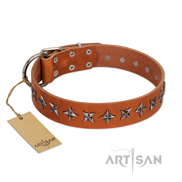 Everyday use dog collar of strong leather with embellishments