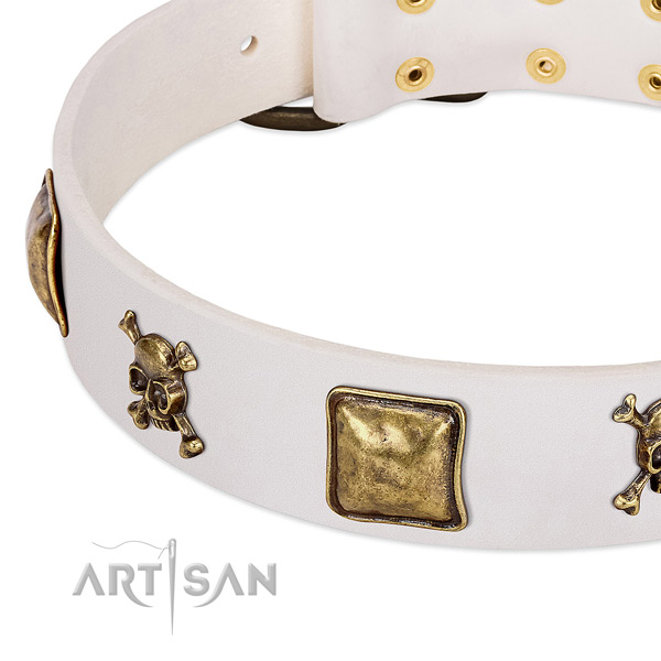Stylish leather dog collar with reliable adornments