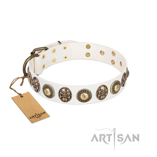 Easy to adjust full grain genuine leather dog collar for daily walking your pet