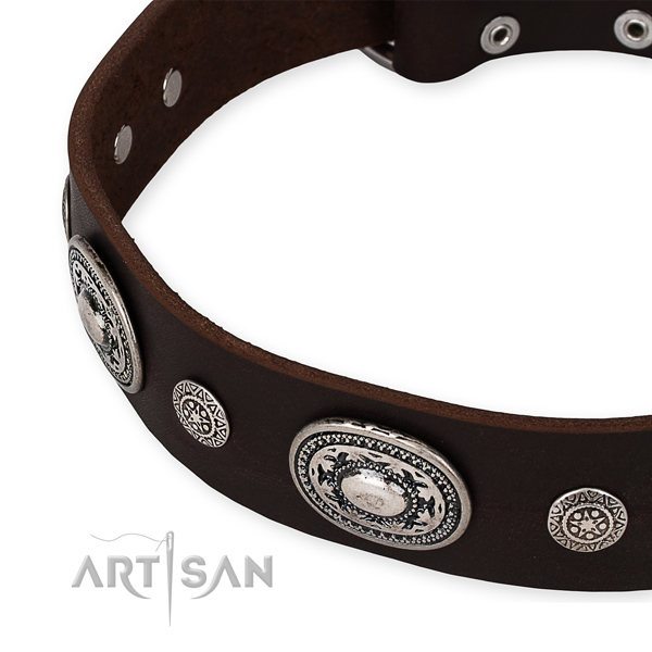 Reliable genuine leather dog collar crafted for your stylish pet