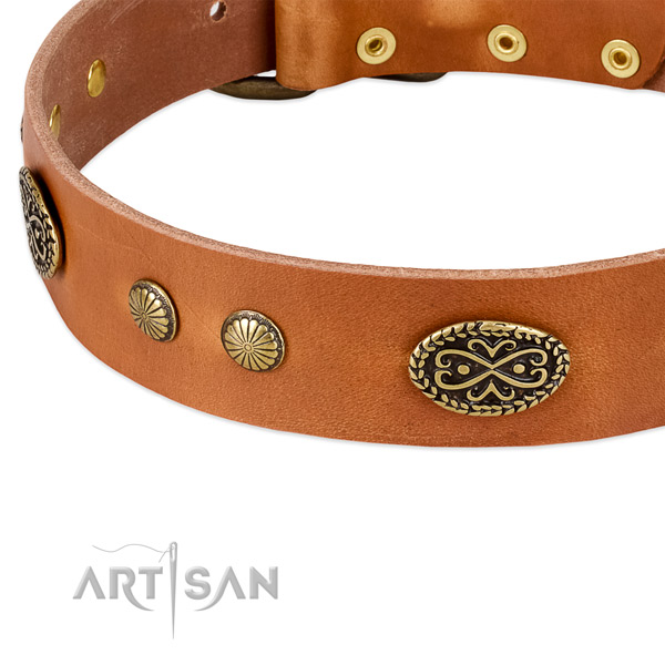 Corrosion resistant studs on full grain natural leather dog collar for your dog