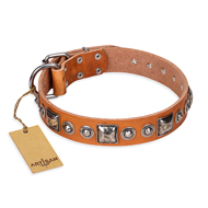 "Era of Future" FDT Artisan Handcrafted Tan Leather American Bulldog Collar with Decorations