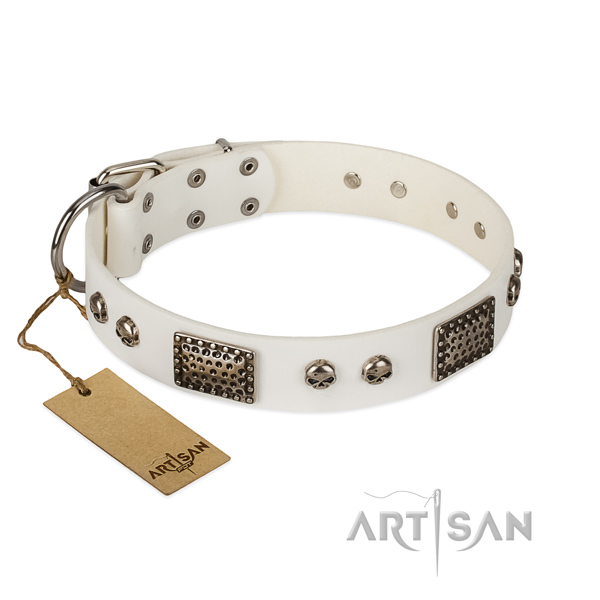 Easy wearing natural genuine leather dog collar for basic training your canine