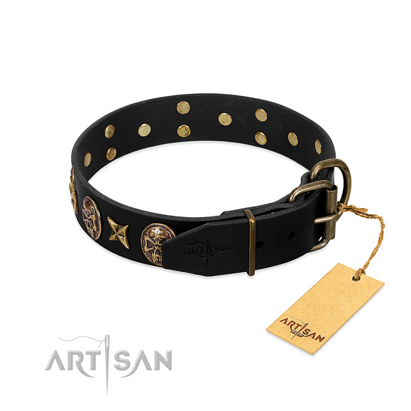 Corrosion proof embellishments on leather dog collar for your pet
