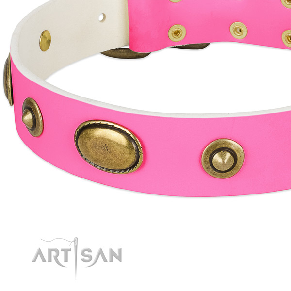 Strong traditional buckle on genuine leather dog collar for your pet