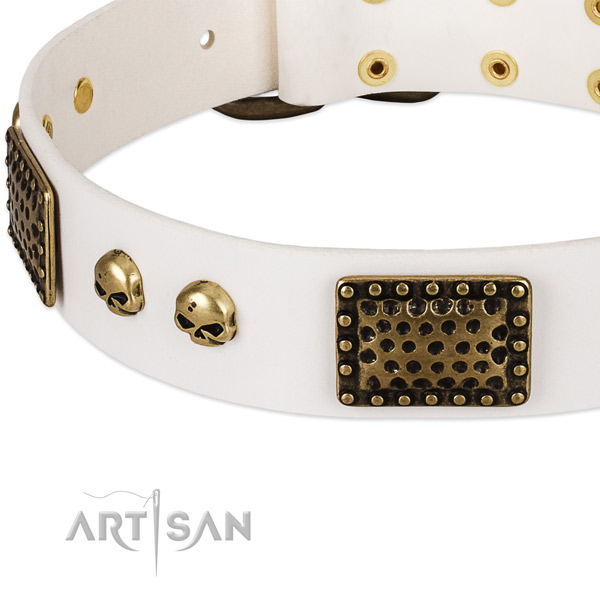 Durable studs on full grain genuine leather dog collar for your canine
