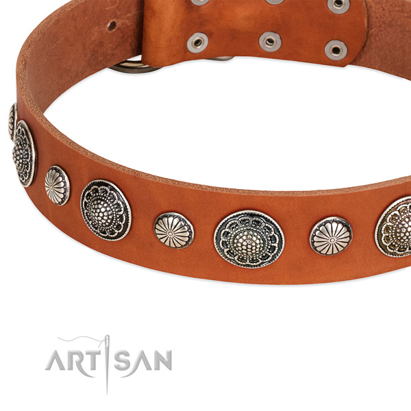 Full grain genuine leather collar with rust resistant traditional buckle for your stylish doggie