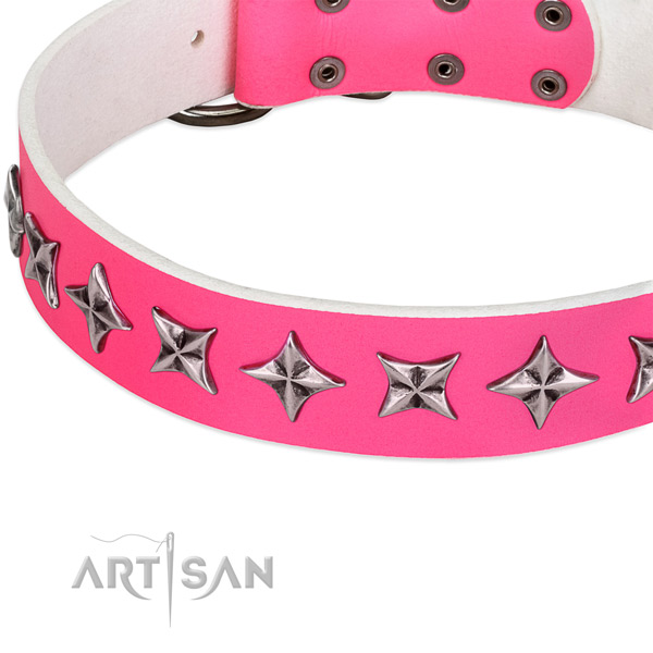 Fancy walking decorated dog collar of durable natural leather