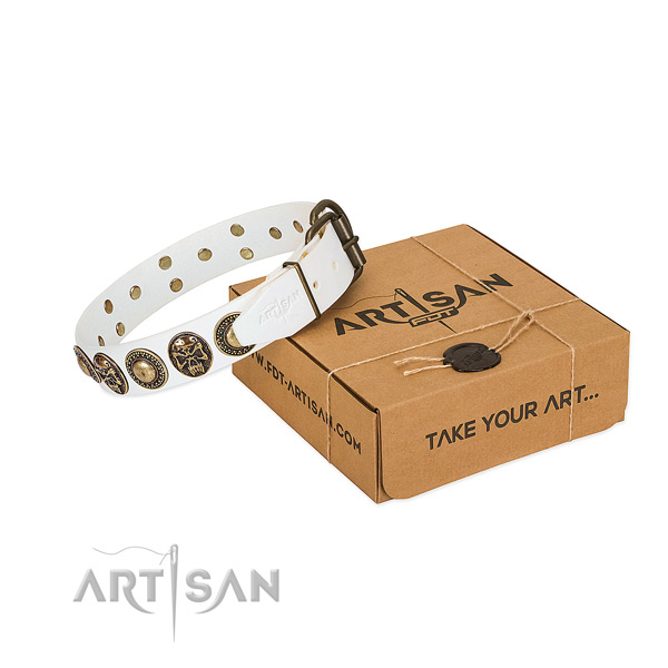 Strong hardware on dog collar for comfy wearing