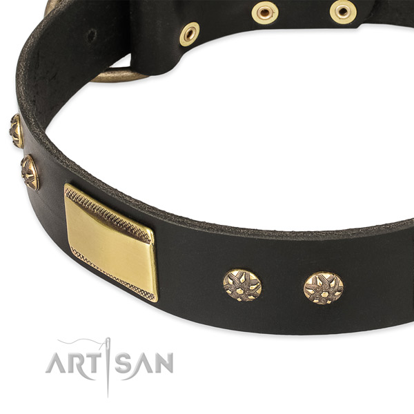 Rust-proof adornments on full grain leather dog collar for your pet