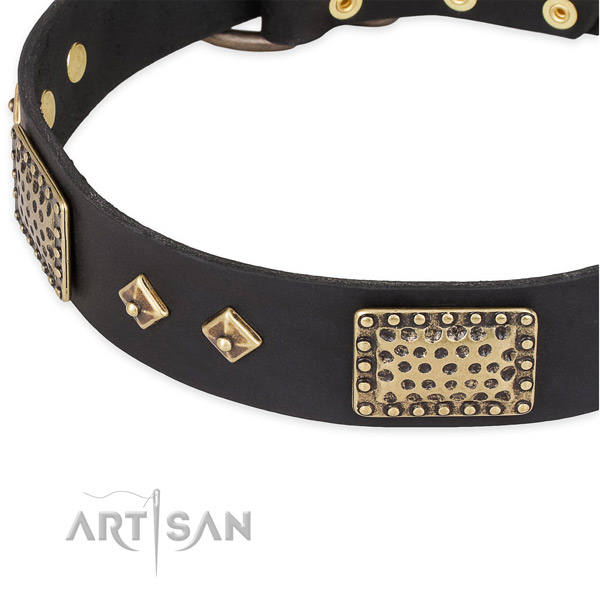 Rust resistant buckle on genuine leather dog collar for your four-legged friend