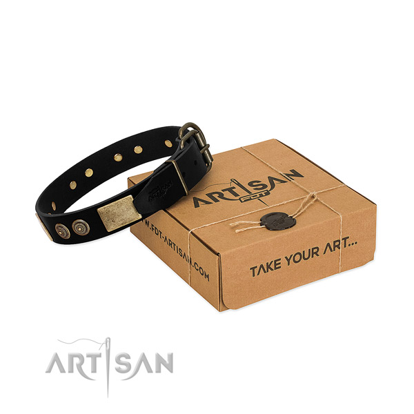 Strong embellishments on natural leather dog collar for your doggie