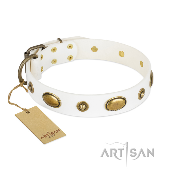 Incredible natural leather collar for your canine