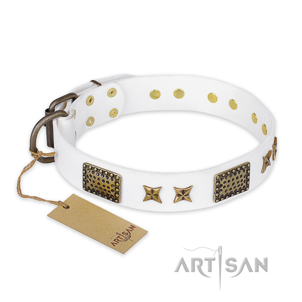 Incredible full grain natural leather dog collar with corrosion resistant fittings