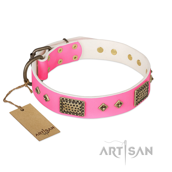 Adjustable genuine leather dog collar for stylish walking your dog