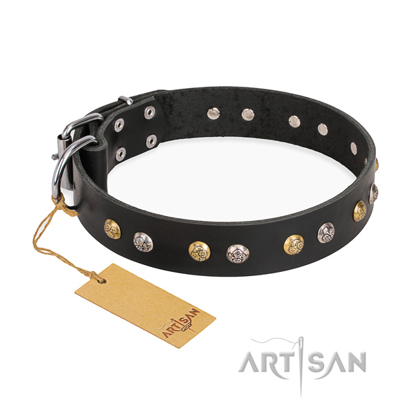 Daily walking comfortable dog collar with rust-proof buckle