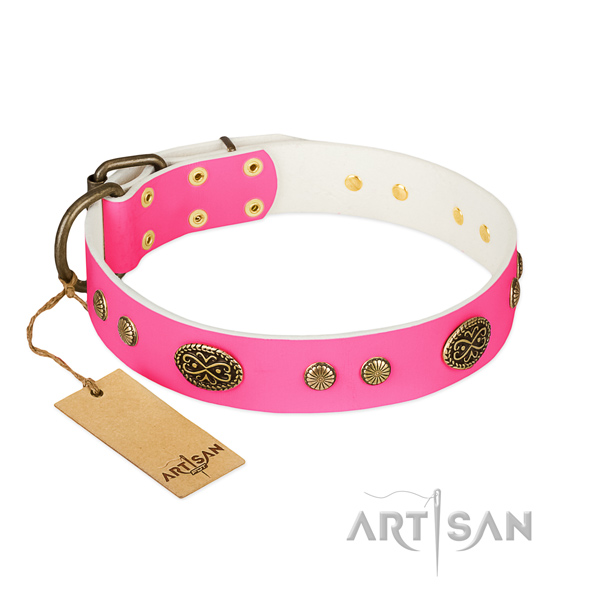 Corrosion proof buckle on natural leather dog collar for your four-legged friend