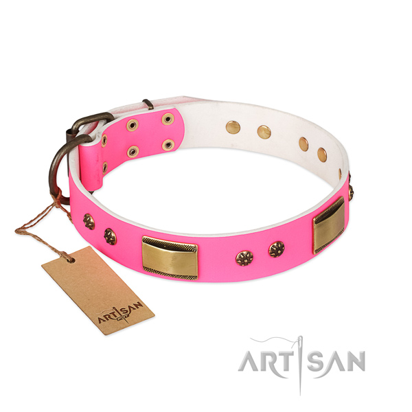 Adjustable leather collar for your doggie