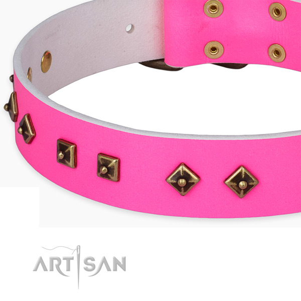 Incredible full grain natural leather collar for your beautiful doggie