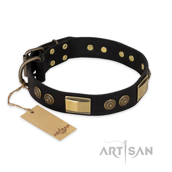 Extraordinary full grain natural leather dog collar for stylish walking