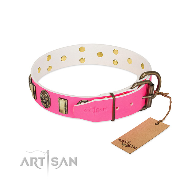 Corrosion proof embellishments on natural genuine leather dog collar for your pet