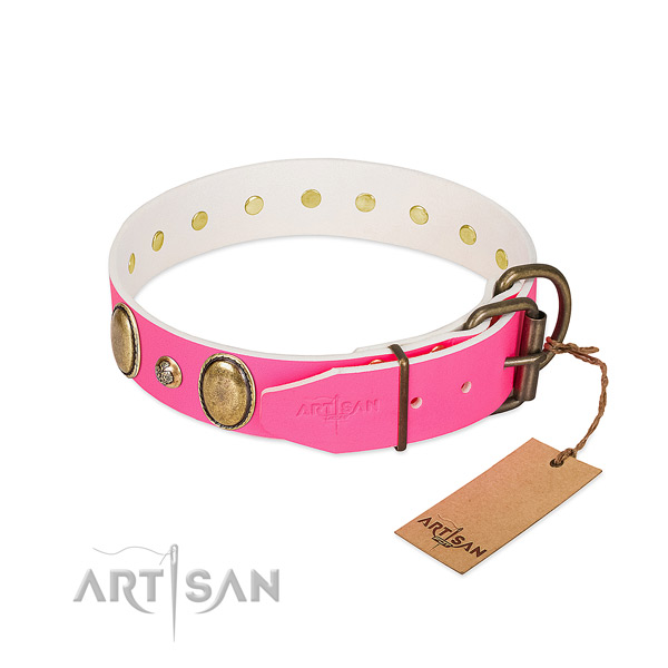 Everyday walking top rate natural genuine leather dog collar