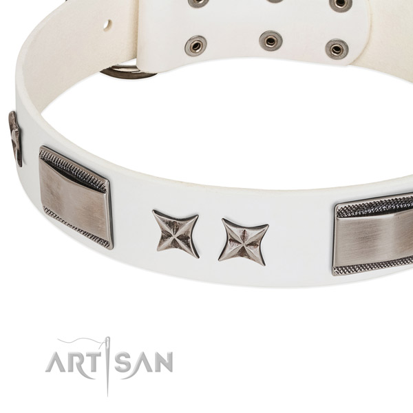 High quality genuine leather dog collar with durable hardware