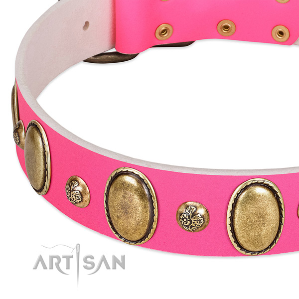 Fancy walking best quality full grain leather dog collar