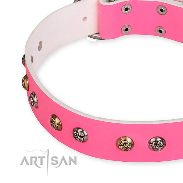 Natural leather dog collar with fashionable rust-proof studs