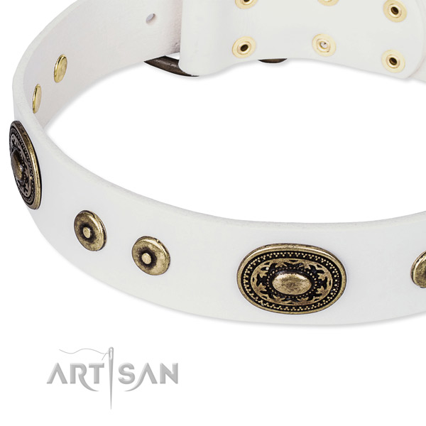 Leather dog collar made of reliable material with studs